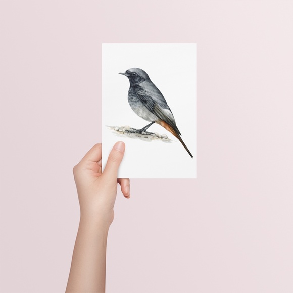 Redstart Bird Wall Art Watercolor Illustration Print Poster Card Unframed - Picture 6 of 7